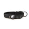 Collar de perro premium con soporte para rastreador
